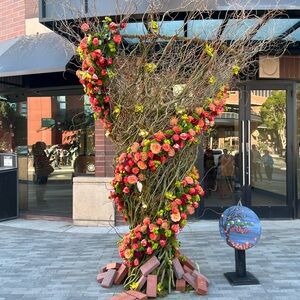 Meet your Posher, Elaine